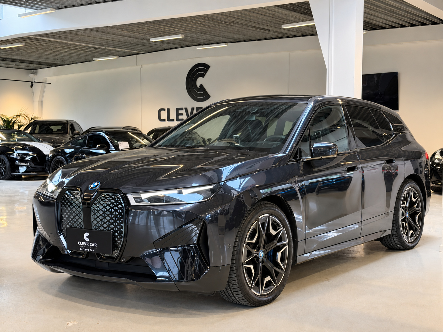 BMW iX